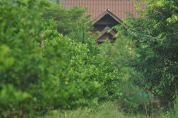Boonsong Farm