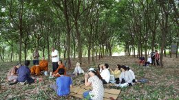 สาขา เพชรบูรณ์