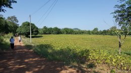 สาขา เพชรบูรณ์