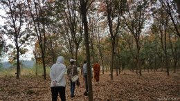 สาขา เพชรบูรณ์