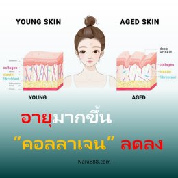 คอลลาเจน ไนท์ครีม ละไม Lahmai serum