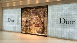 Dior Christmas 2019