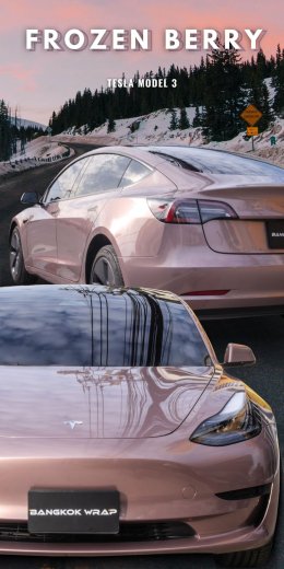 Frozen Berry Metallic - Model 3