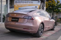 Frozen Berry Metallic - Model 3