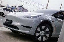 Brooklyn Grey - Model Y
