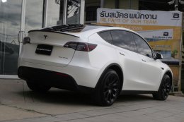 Ceramic White - Model Y