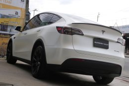 Ceramic White - Model Y