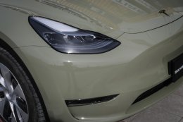 Combat Green - Model Y