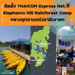 ขอขอบคุณ Elephant Hills Rainforest Camp เขาสก ที่เลือกใช้บริการ THAICOM Express Net