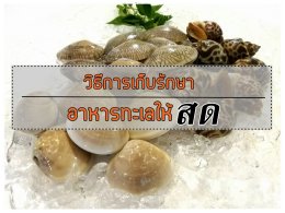 วิธีการเก็บรักษาอาหารทะเลให้สด