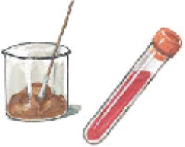 โรคซาลโมเนโลซิส salmonellosis