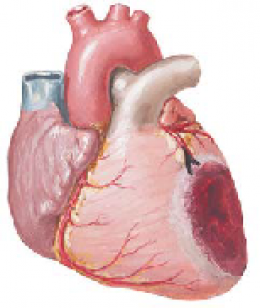 ภาวะกระแสไฟฟ้าหัวใจถูกบล็อก