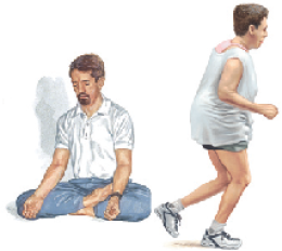 Exercise and Cardiovascular Health