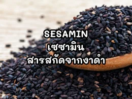 เซซามินสารสกัดงาดำ