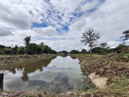 คบ.สุโขทัย  ลงพื้นที่ติดตามการดำเนินการกำจัดวัชพืชและสิ่งกีดขวางทางน้ำโดยเครื่องจักรในคลองระบายน้ำคลองแต้ว และคลองระบายน้ำคลองปู