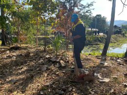 คบ.สุโขทัย  ร่วมกิจกรรมจิตอาสาพัฒนาในโอกาสวันสำคัญของชาติไทย