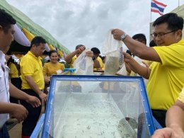คบ.สุโขทัย  ร่วมพิธีปล่อยพันธุ์สัตว์น้ำเนื่องในวันเฉลิมพระชนมพรรษาพระบาทสมเด็จ พระปรเมนทรรามาธิบดีศรีสินทร มหาวชิราลงกรณ พระวชิรเกล้าเจ้าอยู่หัว ประจำปี 2568