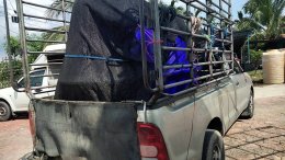 โถปัสสาวะขนาด1*4