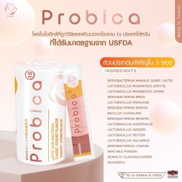 Probica Probiotics จุลินทรีย์ดี 15 สายพันธุ์ เยอะที่สุดในไทย จาก Rosegold