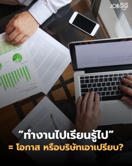 ทำงานไปเรียนรู้ไป = โอกาส หรือบริษัทเอาเปรียบ?