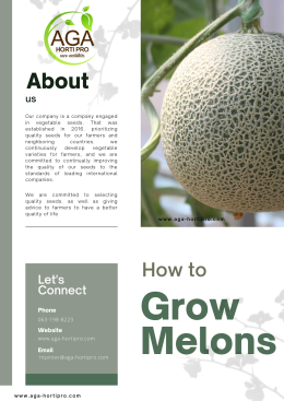 How to grow melons