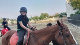 Summer Camp | 4-25 Oct 2025 