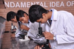  IPS INTERNATIONAL SCHOOL