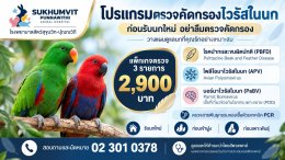 โปรแกรมตรวจไวรัส 3 โรคในนก