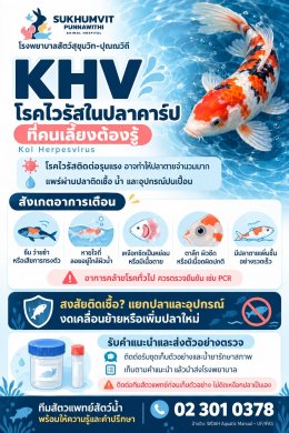ปลาคาร์ปป่วย