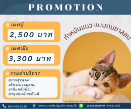 ทำหมันสัตว์เลี้ยง