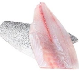 Sea bass export