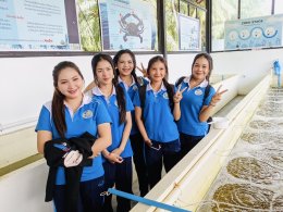 โครงการทัศนศึกษาดูงานภายในจังหวัด สุราษฎร์ธานี ปีการศึกษา 2568 สาขาการบัญชี