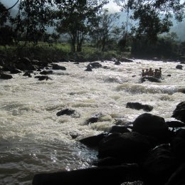 Full Day Experience Trek Mae Tang Area