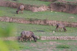 3 Days 2 Nights Experience Trek National Park, Huay Nam Dung