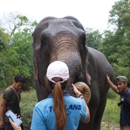 3 Days 2 Nights Experience Trek National Park, Huay Nam Dung