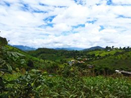Full Day Experience 5 Hill Tribes Trek (Palong)