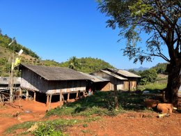 Full Day Experience 5 Hill Tribes Trek (Palong)