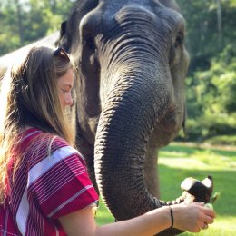 Full Day Visit to Elephant Natural Habitat