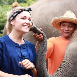 Full Day visit and Support at Eco Elephant Care