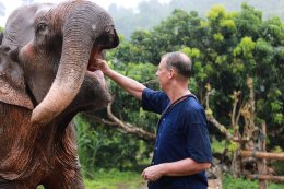 Half Day visit and Support at Eco Elephant Care