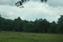 One Day Experience Trek Sanpatong (Mae Win area)
