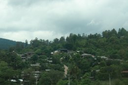 One Day Experience Trek Sanpatong (Mae Win area)