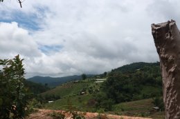 One Day Experience Trek Sanpatong (Mae Win area)