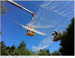 FlexiMesh - ตาข่ายสแตนเลส สำหรับกรงนกขนาดใหญ่ (Perth Zoo, Australia)