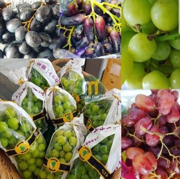ขอขอบคุณร้าน M healthy โพธาราม ที่ไว้วางใจเครื่องทำน้ำแข็งเจ็นไอซ์