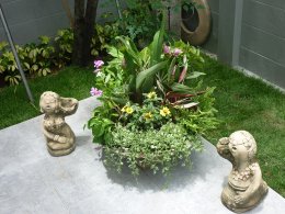 โครงการหมู่บ้าน Noble Tara - รัตนาธิเบศร์