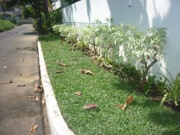 โครงการหมู่บ้านชลนิเวศน์ - ประชาชื่น