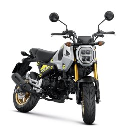 New Honda GROM