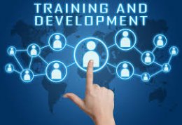 Training & Development 