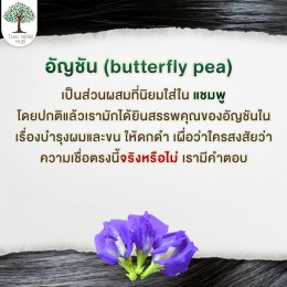 Is butterfly pea good for hair?